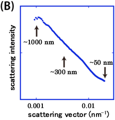 2012-05-07-coherent-03