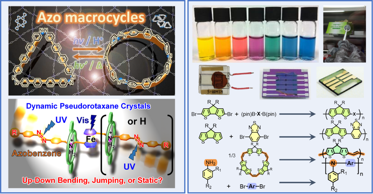 Laboratory of Advanced Supramolecular Materials