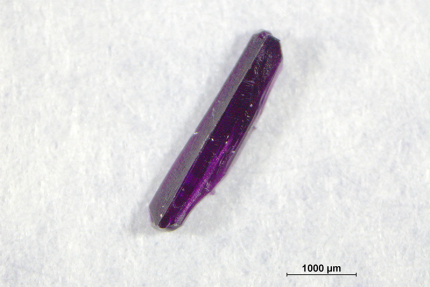 Using a soft crystal to visualize how absorbed carbon dioxide behaves in liquid（記事サムネイル）