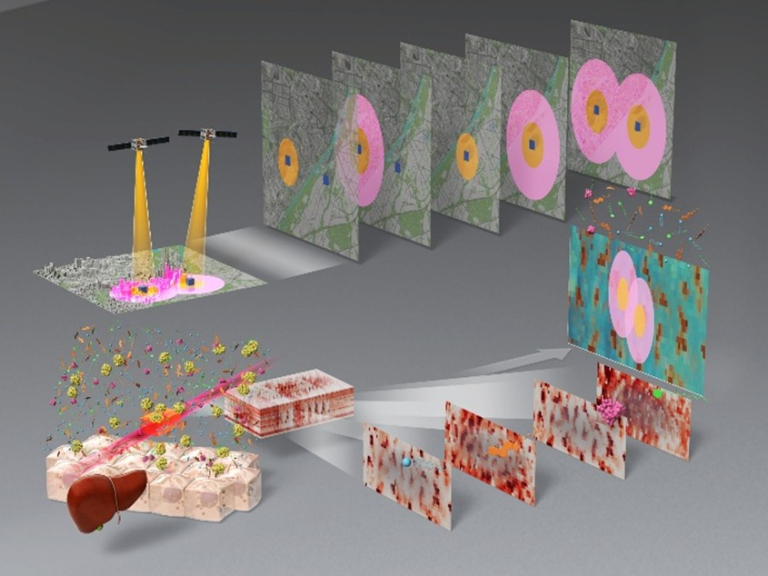「分光画像を「空間のつながり」から読み解く新手法を開発」概要