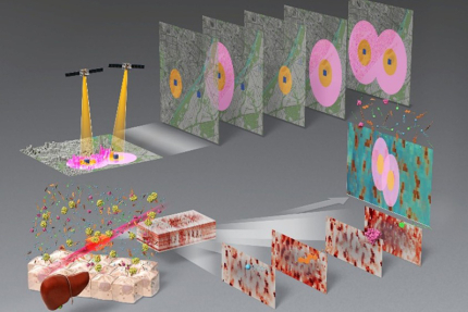 「分光画像を「空間のつながり」から読み解く新手法を開発」（記事サムネイル）