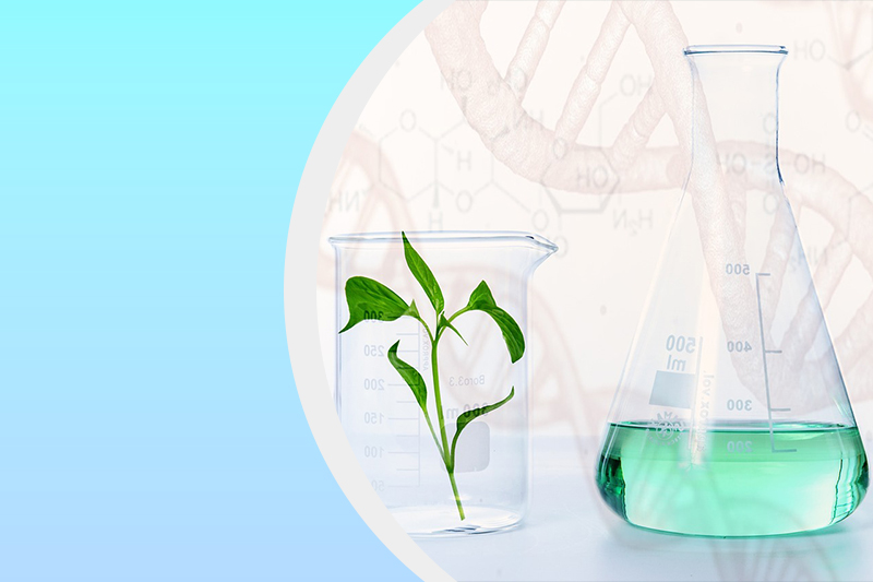 拠点アライアンス連携研究分野のサムネイル画像