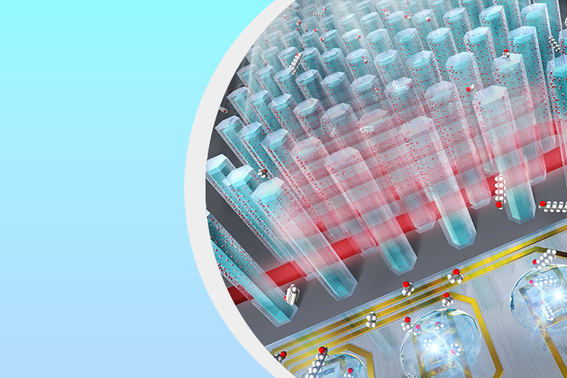 インタラクション機能材料研究分野のサムネイル画像