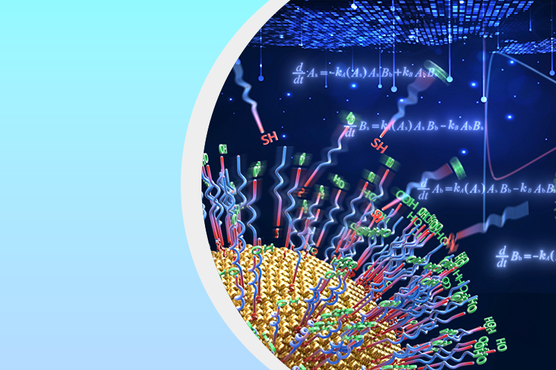 生体分子デバイス研究分野のサムネイル画像