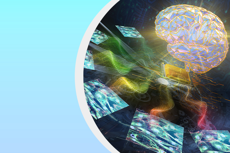 データ数理研究分野のサムネイル画像