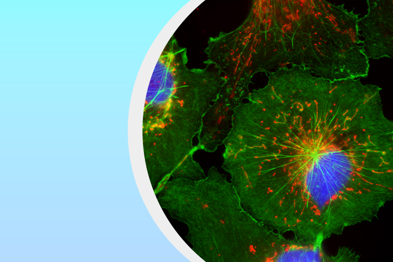 ニコンイメージングセンターのサムネイル画像
