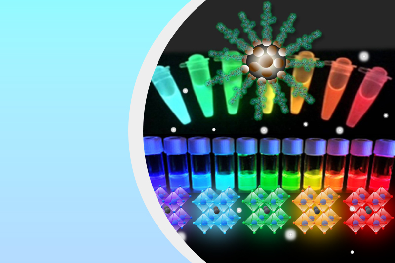 フォトニックナノ材料研究分野のサムネイル画像