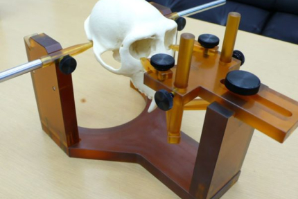 MRI brain-positioning fixation device