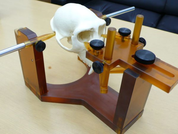 MRI brain-positioning fixation device