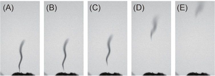 「線虫は静電気力を利用して空中を飛ぶ」概要