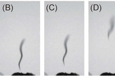 線虫は静電気力を利用して空中を飛ぶ（記事サムネイル）