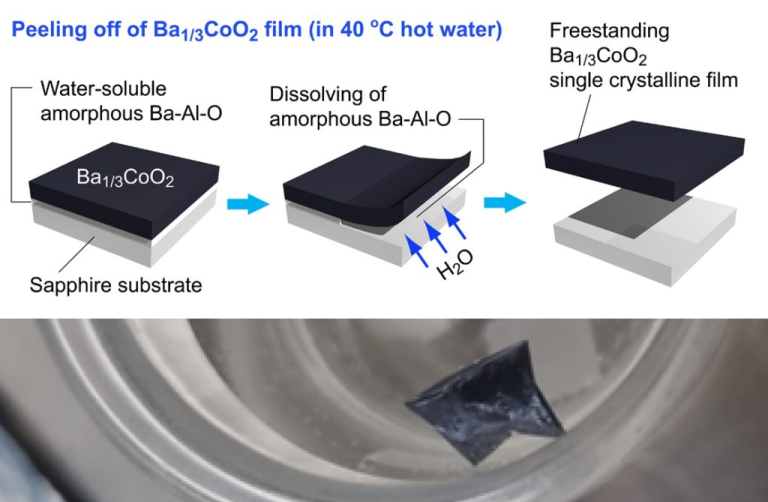 Overview of “Peeling off single-crystalline thermoelectric oxide films”