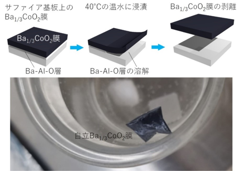 「実用的な熱電材料の単結晶化に成功」概要