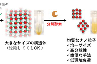 幅広く応用可能なナノ材料の簡便な作り方を開発（記事サムネイル）