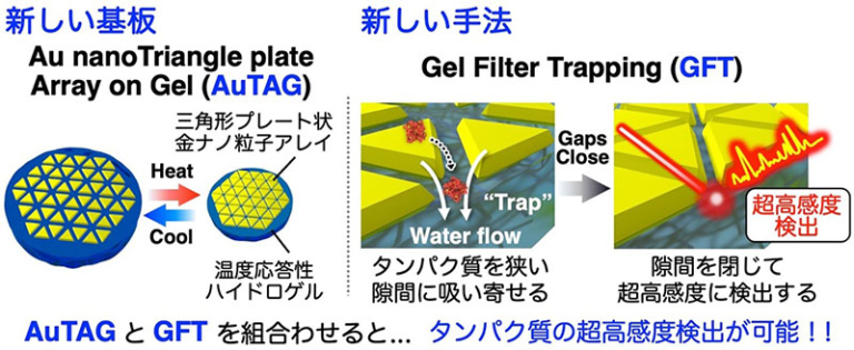 「タンパク質を超高感度で検出する新技術を開発」概要