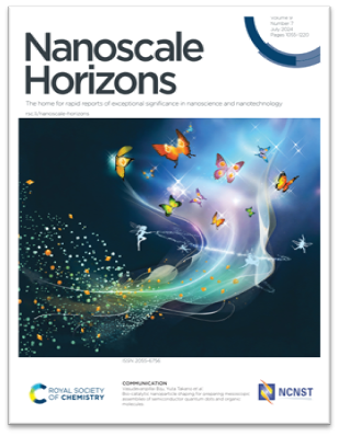  Nanoscale Horizons誌(DOI: 10.1039/d4nh00134f)より転載
