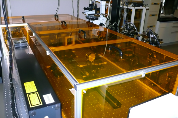 干渉露光光学系用風防