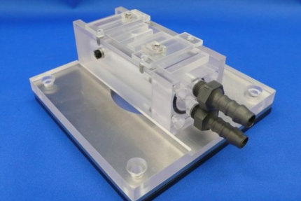 Experimental Chamber for Squid Axons