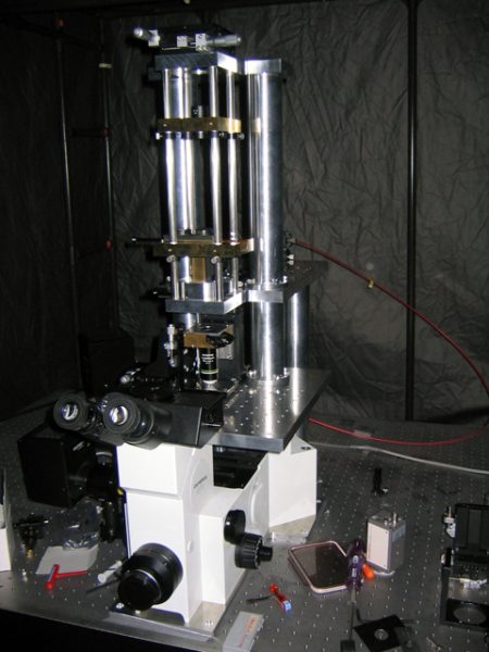 Upright microscope 