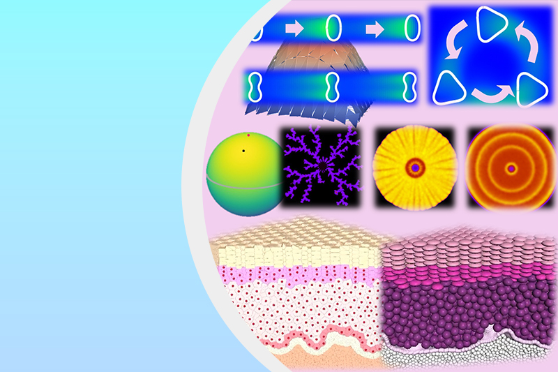 人間数理研究分野のサムネイル画像