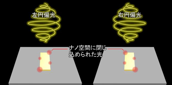「対称なナノ構造に生じるキラルな光の発現原理を解明」概要