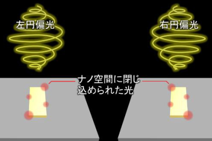 対称なナノ構造に生じるキラルな光の発現原理を解明（記事サムネイル）
