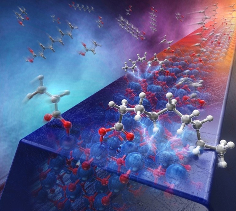 Overview of “Novel Molecular Recognition Principle via van der Waals Interactions between Nonpolar Portions of VOCs and Polar Solid Surfaces”