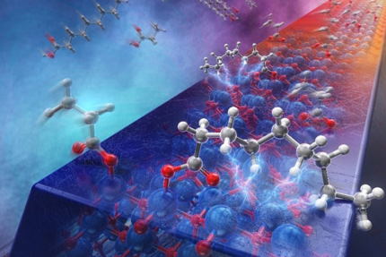 ファンデルワールス相互作用を活用した分子識別原理を提唱 （記事サムネイル）