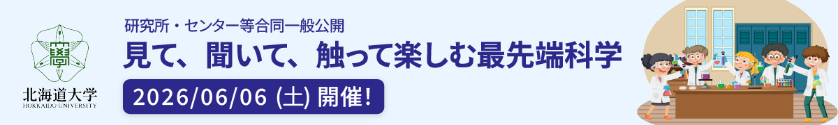 一般公開