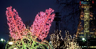 Sapporo White Illumination