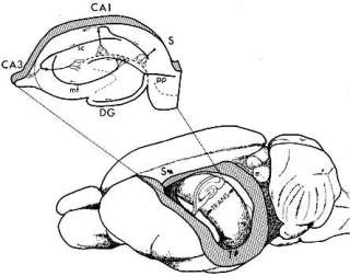 2012-12-21-mcb-03