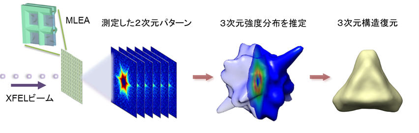 溶液中ナノ粒子を3次元観察できるデータ処理手法 —X線レーザーを用いた