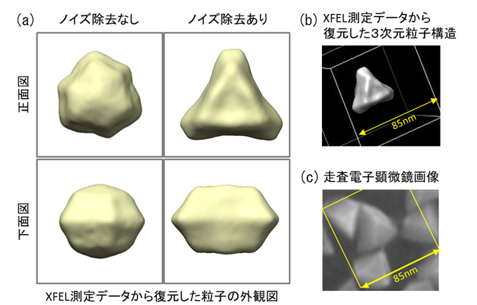 溶液中ナノ粒子を3次元観察できるデータ処理手法 —X線レーザーを用いた